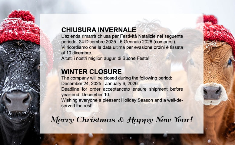 Chiusura Festività Natalizie