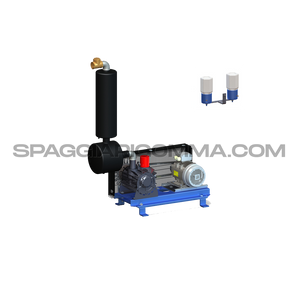 GPV 2200 su basamento Hp. 5,5 - Lt/m 1800